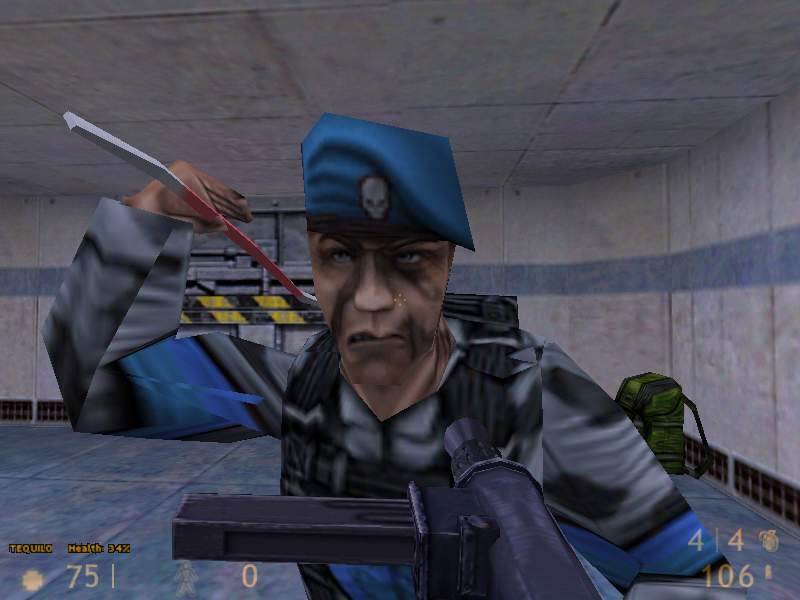 2fort0001.jpg (41916 Byte)